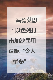 冯德莱恩：以色列打击加沙民用设施“令人憎恶”